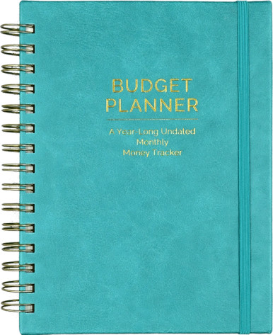 Budget Planner: A Year Long Undated Monthly Calendar