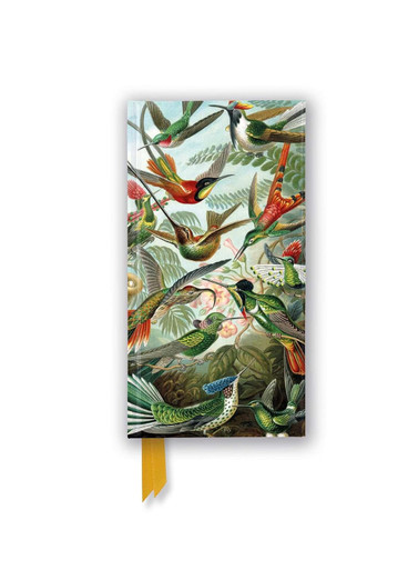 Alternative view of Ernst Haeckel: Hummingbirds (Foiled Slimline Journal)